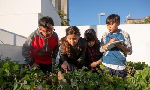 Students looking at plants and writing