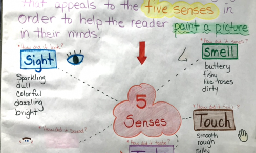 Anchor chart of senses