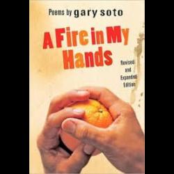 Hands holding an orange