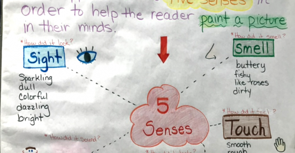 Anchor chart of senses