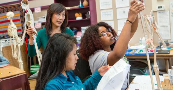 Students looking at a skeleton