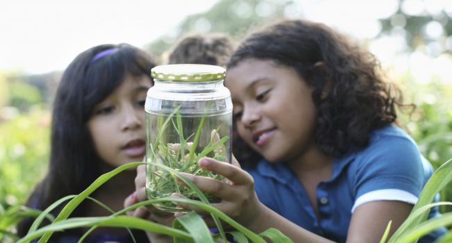 two children in the grass looking at something in a glass jar